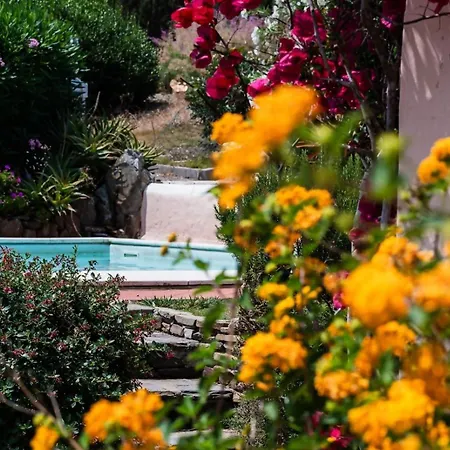 Rosa - Piscina Privata *