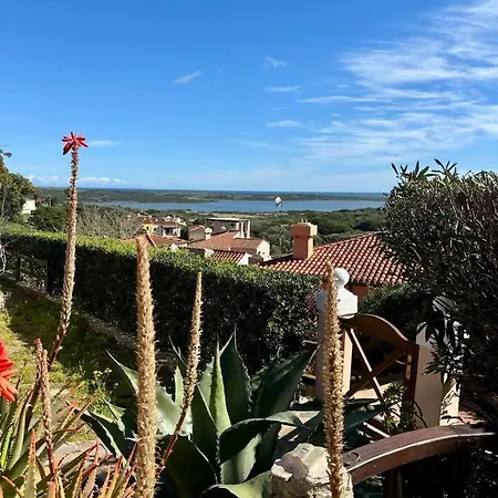 Rosa Piscina Privata Villa Stintino